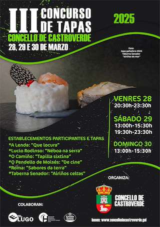 Fechas, información, programa, cartel, imágenes, mapa y ubicación de III Concurso de Tapas  en  Castroverde