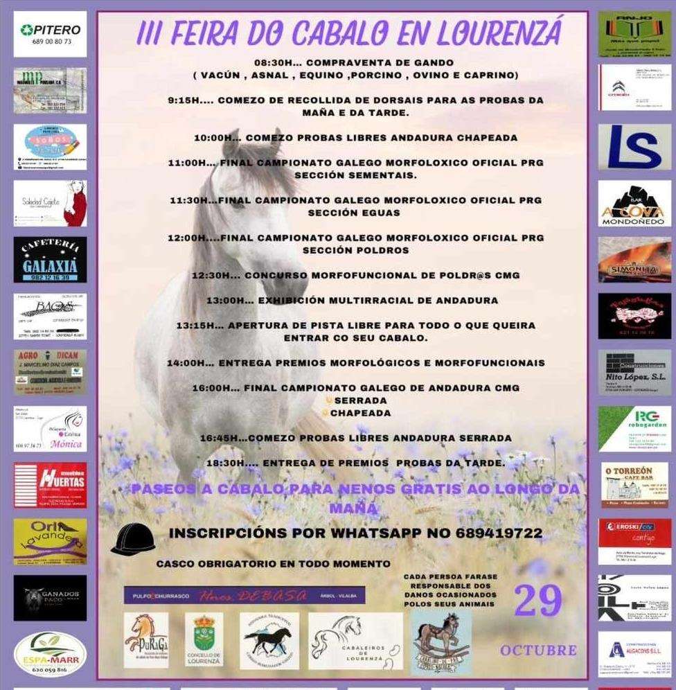 Concurso Morfolóxico Cabalo PRG e Exposición do Cabalo Galego en Lourenzá
