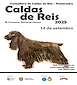 FiestasRelacionadas III Concurso Nacional Canino en Caldas de Reis