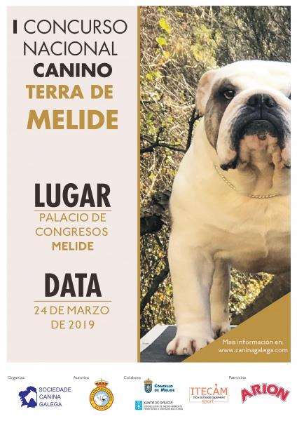 I Concurso Nacional Canino en Melide