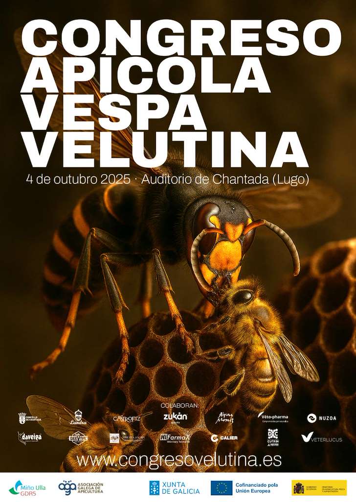 Congreso Apícola Vespa Velutina (2025) en Chantada