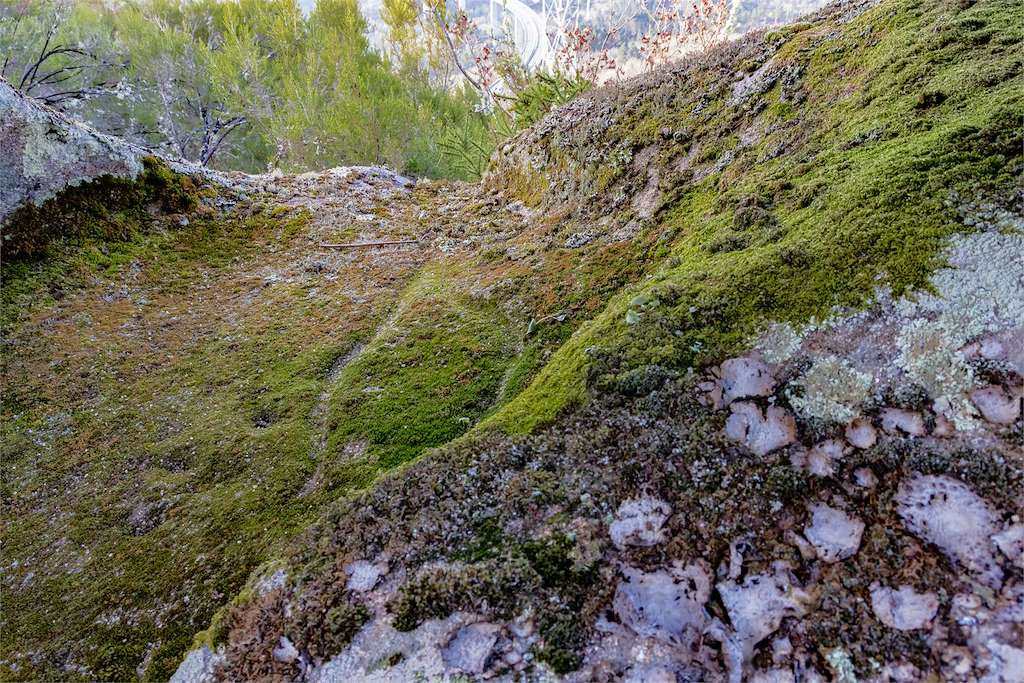 Conjunto Arquelógico de A Ferradura en Amoeiro