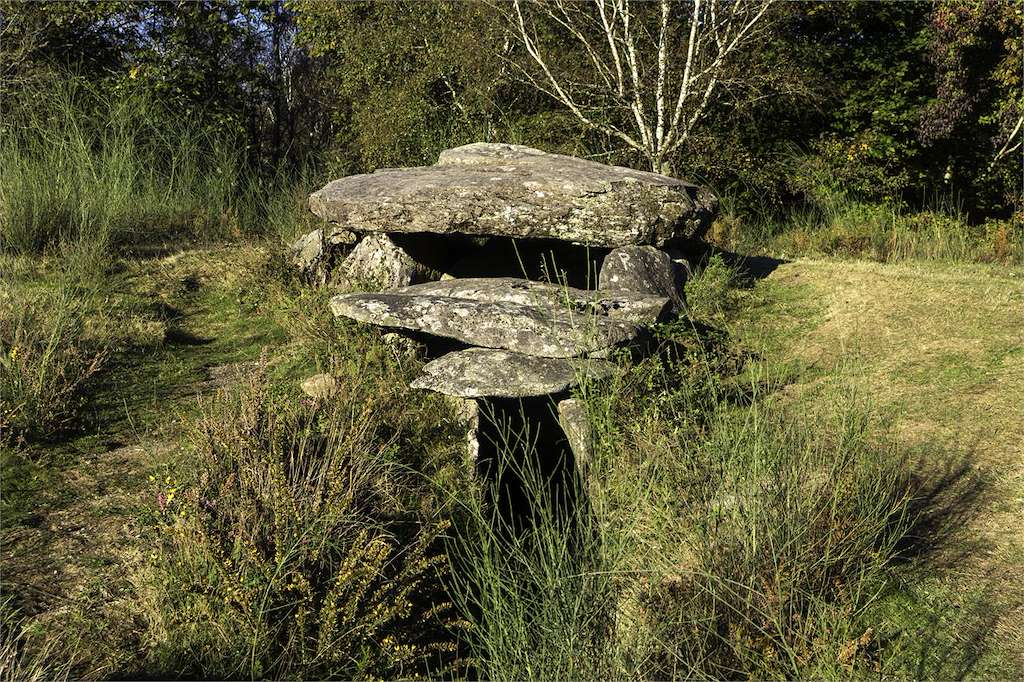 Conjunto Megalítico Chan de Castiñeiras en Vilaboa