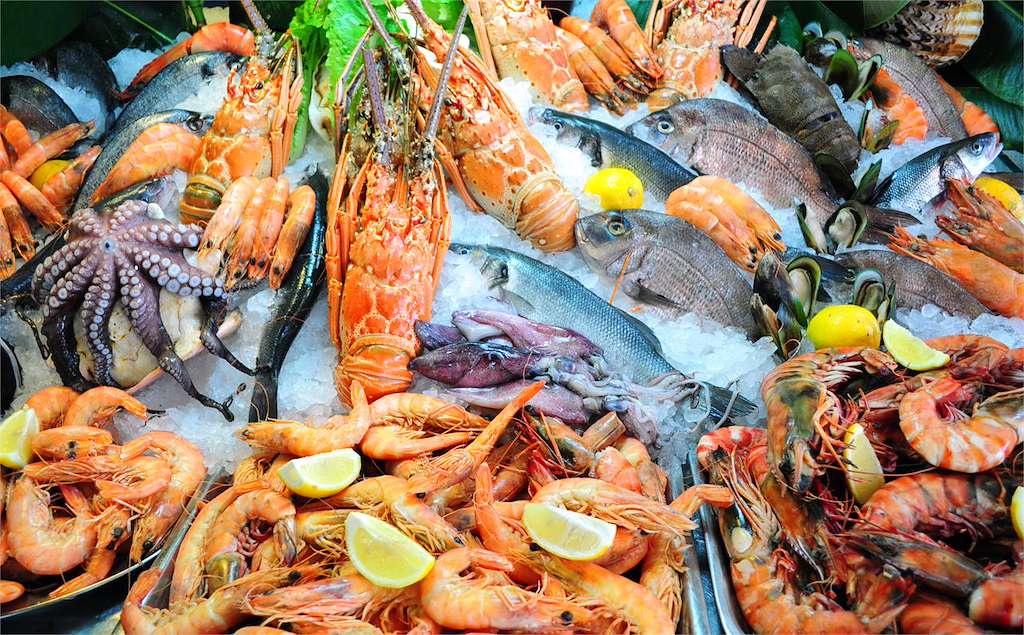 XXIII Conxemar - Feria Internacional de Productos del Mar Congelados  en Vigo