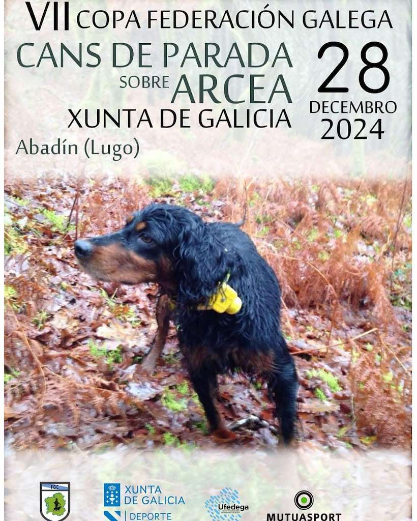 VII Copa Federación Galega Cans de Parada Sobre Arcea en Abadín