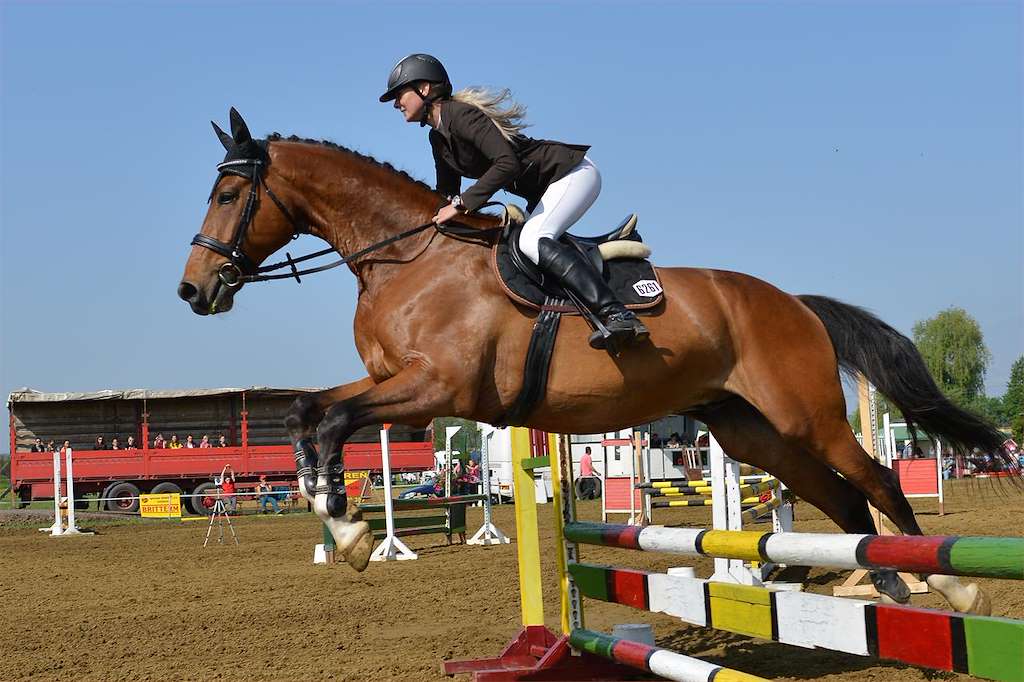 CSI 5* - XLII Concurso de Saltos Internacional de A Coruña en Arteixo