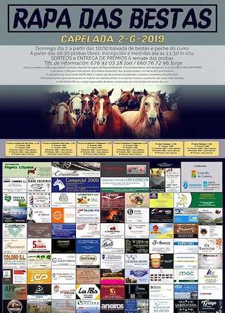 LI Curro da Capelada en Cedeira