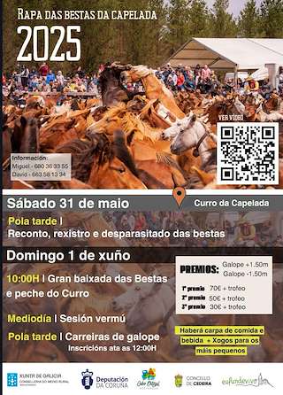 Fechas, información, programa, cartel, imágenes, mapa y ubicación de LI Curro da Capelada  en  Cedeira