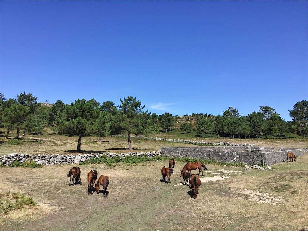 Curro da Valga en Oia