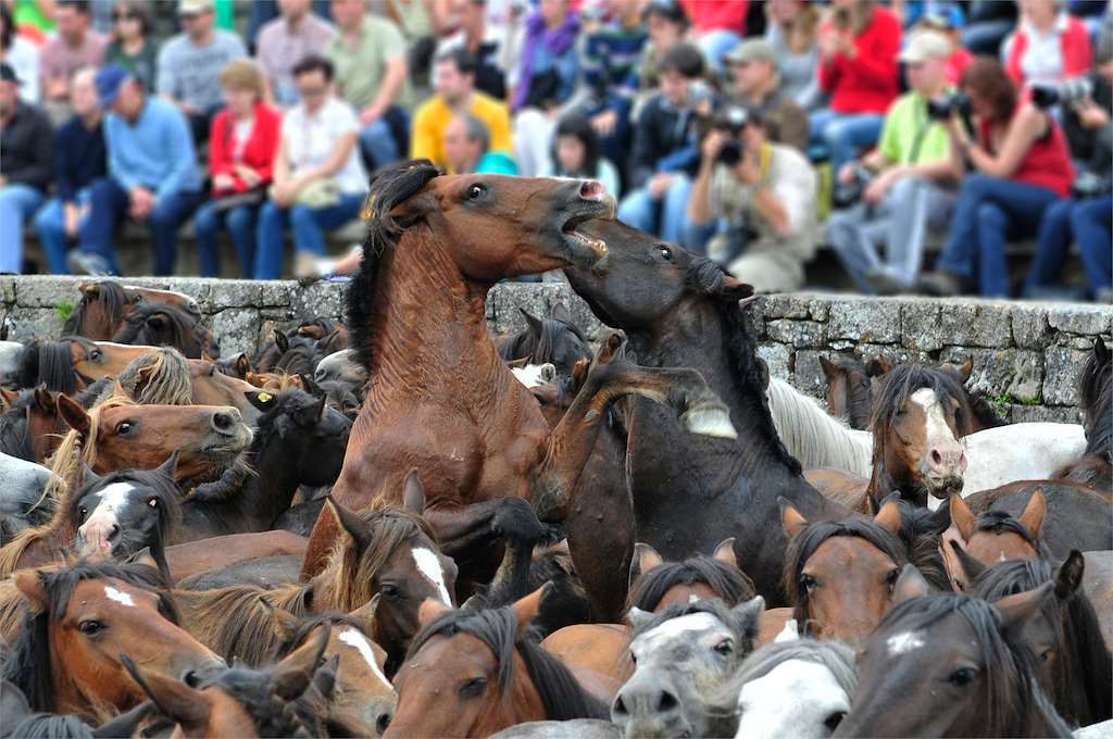 Curro de Sabucedo en A Estrada