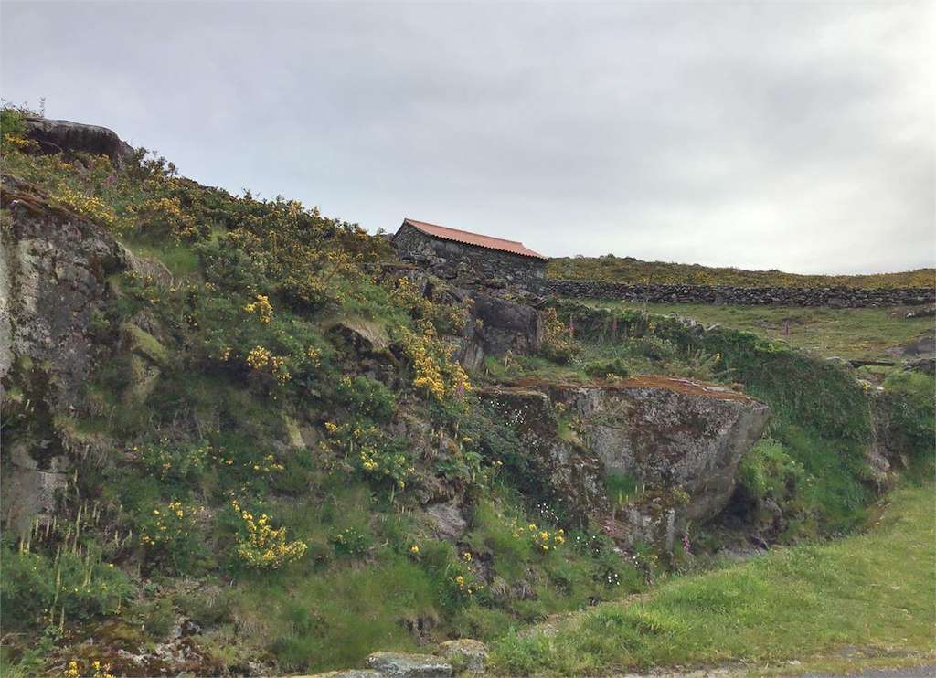 Curro de Santa Cristiña en Vimianzo