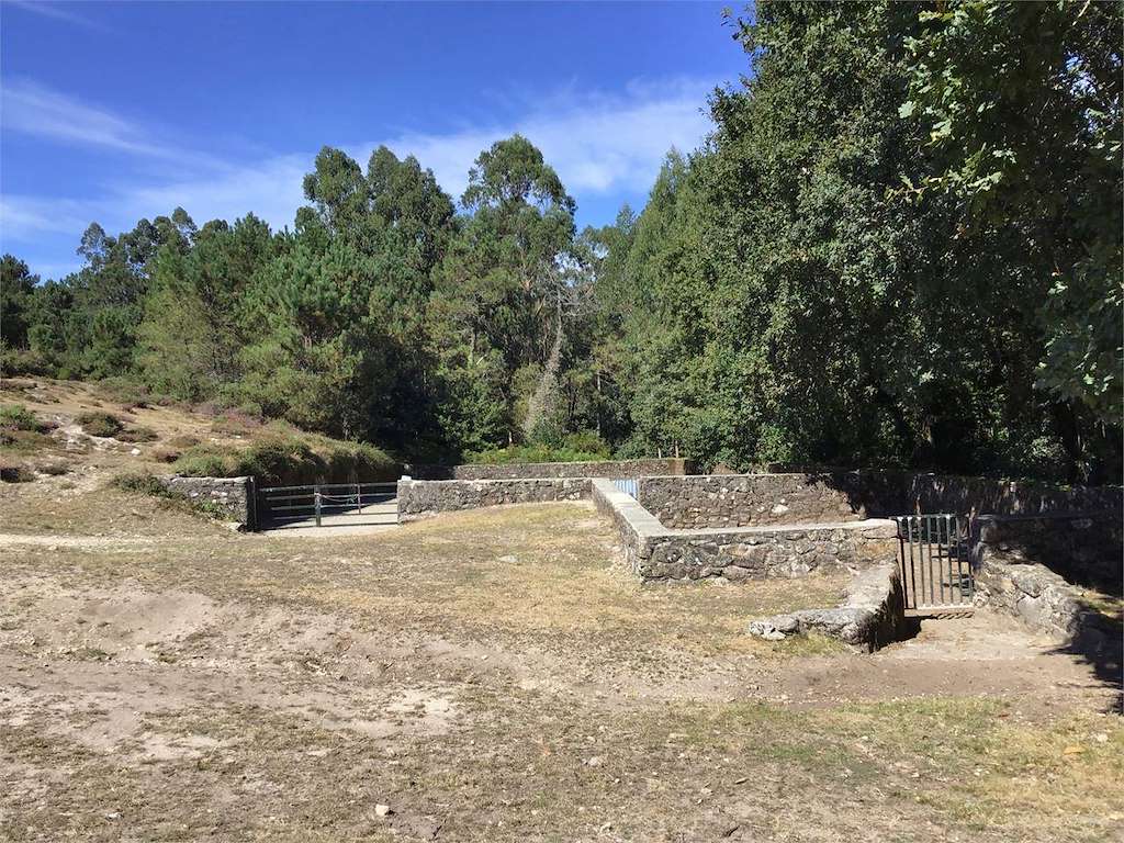 Curro de Torroña en Oia