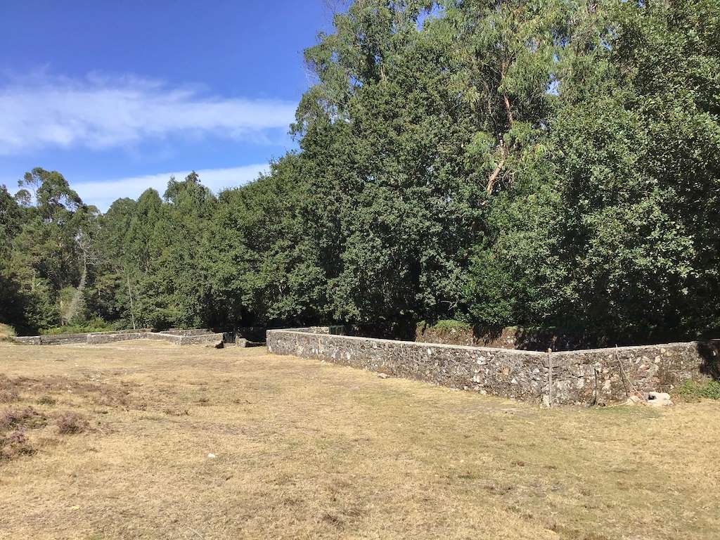 Curro de Torroña en Oia