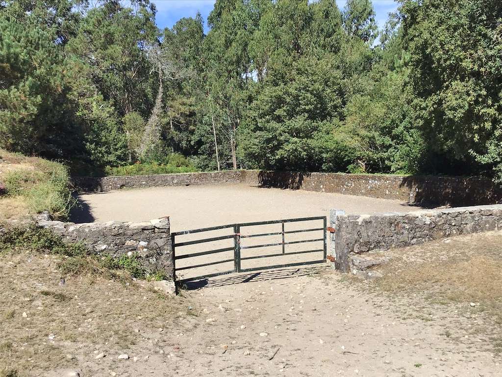 Curro de Torroña en Oia