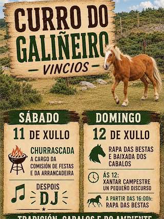 Fechas, información, programa, cartel, imágenes, mapa y ubicación de Curro do Galiñeiro de Vincios (2026)  en  Gondomar