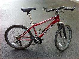 Día da Bicicleta en Lugo