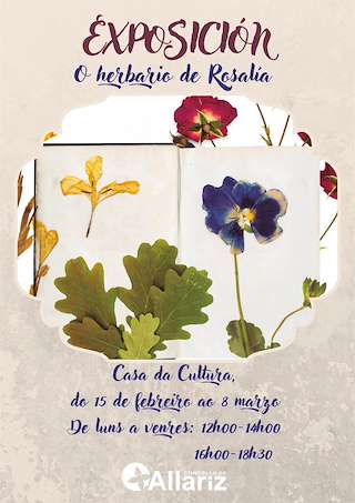 Día de Rosalía en Allariz