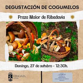 Degustación de Cogumelos en Ribadavia