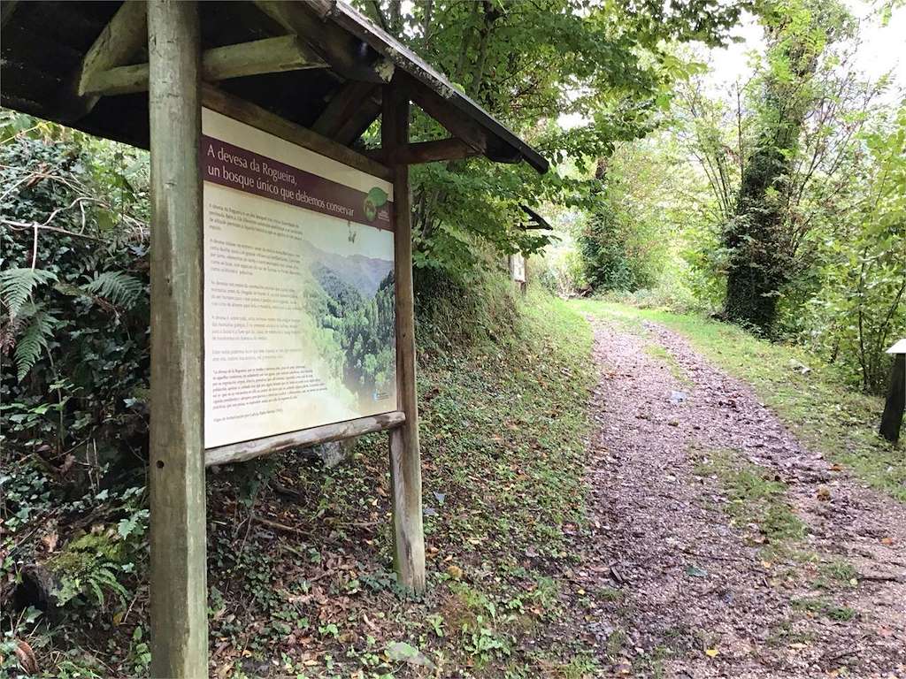 Devesa da Rogueira en Folgoso do Courel