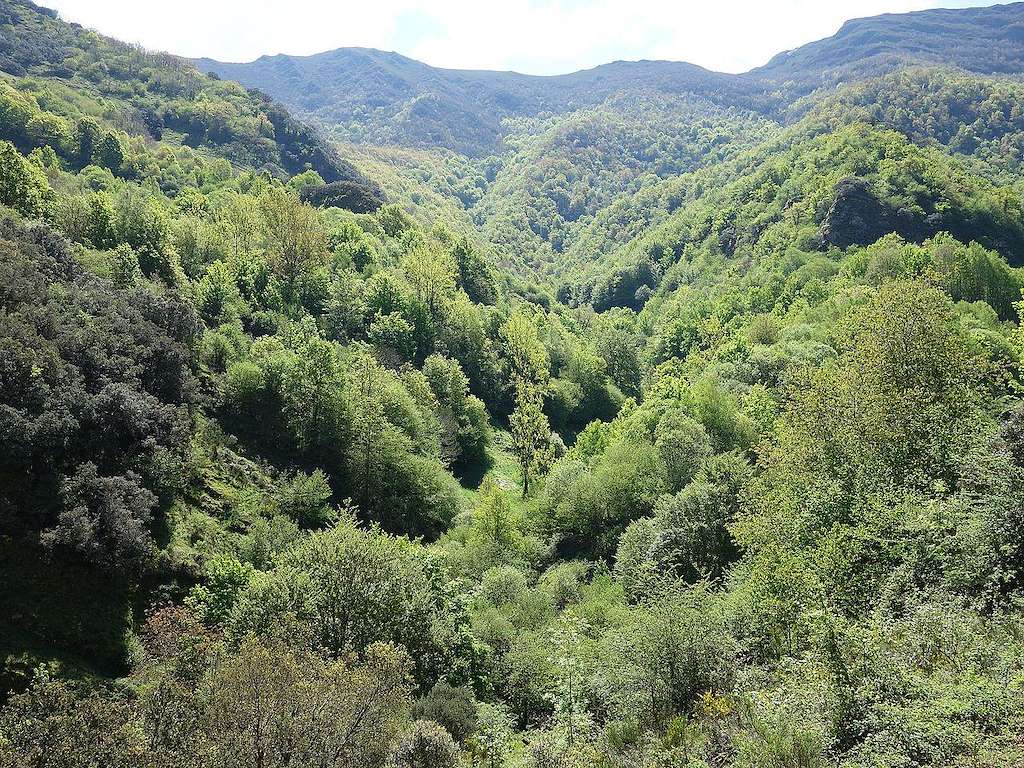 Devesa da Rogueira en Folgoso do Courel