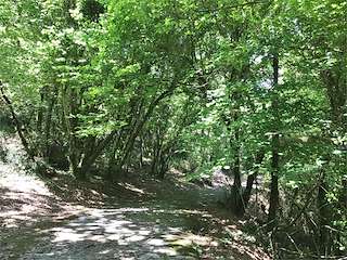 Fechas, información, programa, cartel, imágenes, mapa y ubicación de Devesa de Chacín  en  Mazaricos