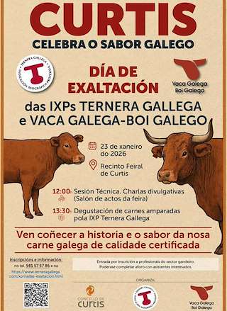 Fechas, información, programa, cartel, imágenes, mapa y ubicación de Día de Exaltacións das IXPs Ternera gallega e Vaca Galega-Boi Galego (2026)  en  Curtis