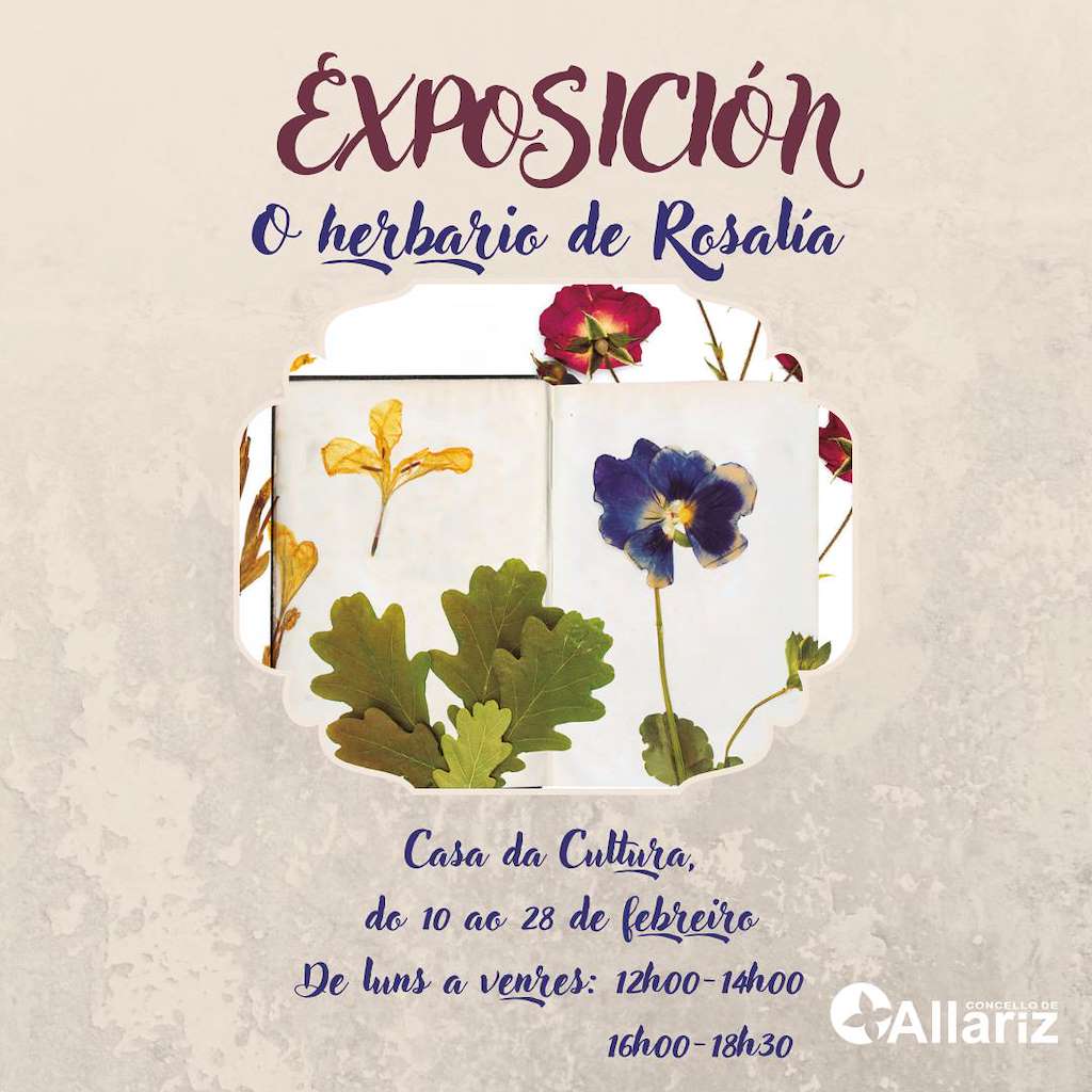 Día de Rosalía en Allariz