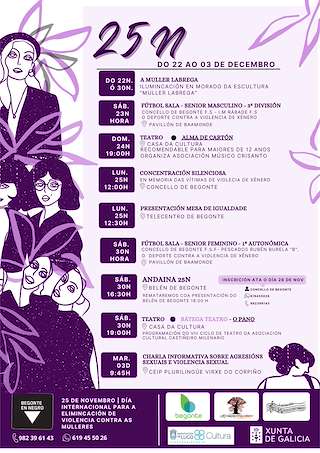 Día Internacional contra a Violencia de Xénero