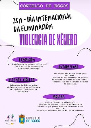 Día Internacional Contra a Violencia de Xénero
