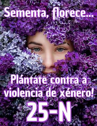 Fechas, información, programa, cartel, imágenes, mapa y ubicación de Día Internacional Contra a Violencia de Xénero  (2025) en Sarria