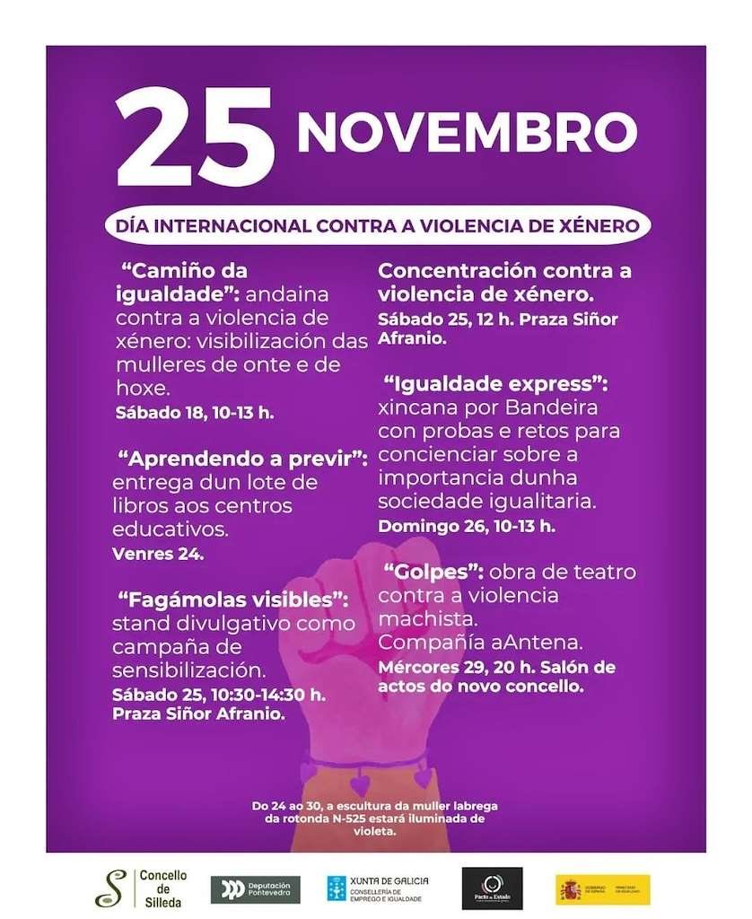 Día Internacional Contra a Violencia de Xénero  en Silleda