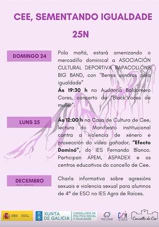 Día Internacional da Eliminación da Violencia Contra a Muller 