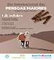FiestasRelacionadas Día Internacional das Persoas Maiores en Soutomaior