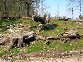 Fechas, información, programa, cartel, imágenes, mapa y ubicación de Dolmen Chan de Armada  en  Marín