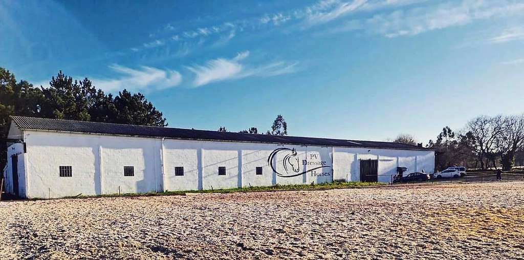 Dressage Horses en Carballo