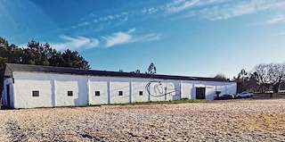 Fechas, información, programa, cartel, imágenes, mapa y ubicación de Dressage Horses  en  Carballo