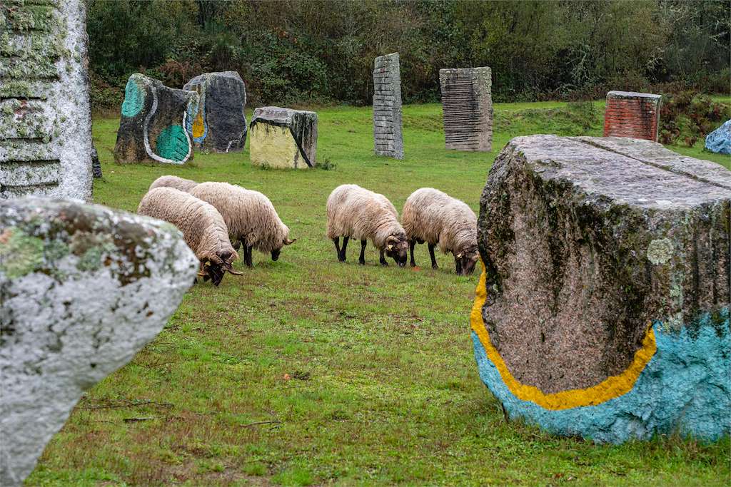 Ecoespazo O Rexo en Allariz