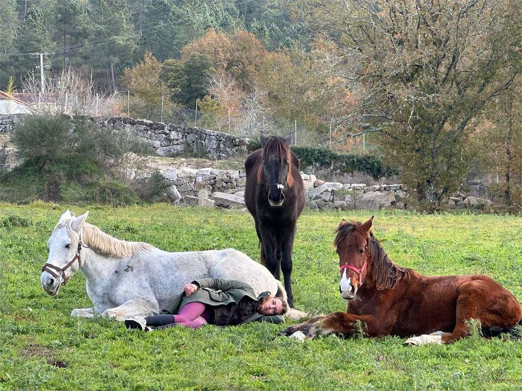 El Ranchito Ecuestre en Lobios