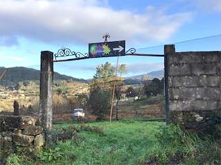 El Superviviente Paintball