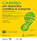 FiestasRelacionadas En Marcha Contra o Cancro (1) en Cariño