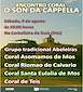 FiestasRelacionadas Encontro Coral O Son da Cappella de Teis en Vigo