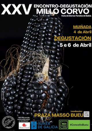 Fechas, información, programa, cartel, imágenes, mapa y ubicación de XXV Encontro - Degustación do Millo Corvo  en  Bueu