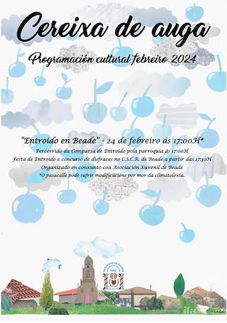 Entroido de Beade en Vigo