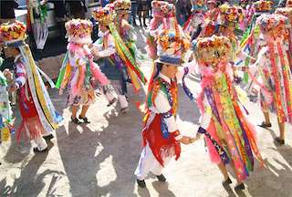 Carnaval de Cobres en Vilaboa