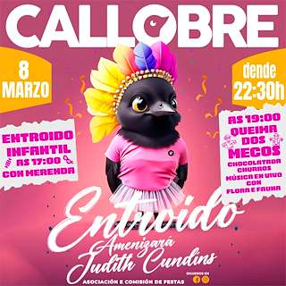 Fechas, información, programa, cartel, imágenes, mapa y ubicación de Entroido de Callobre  en  Miño