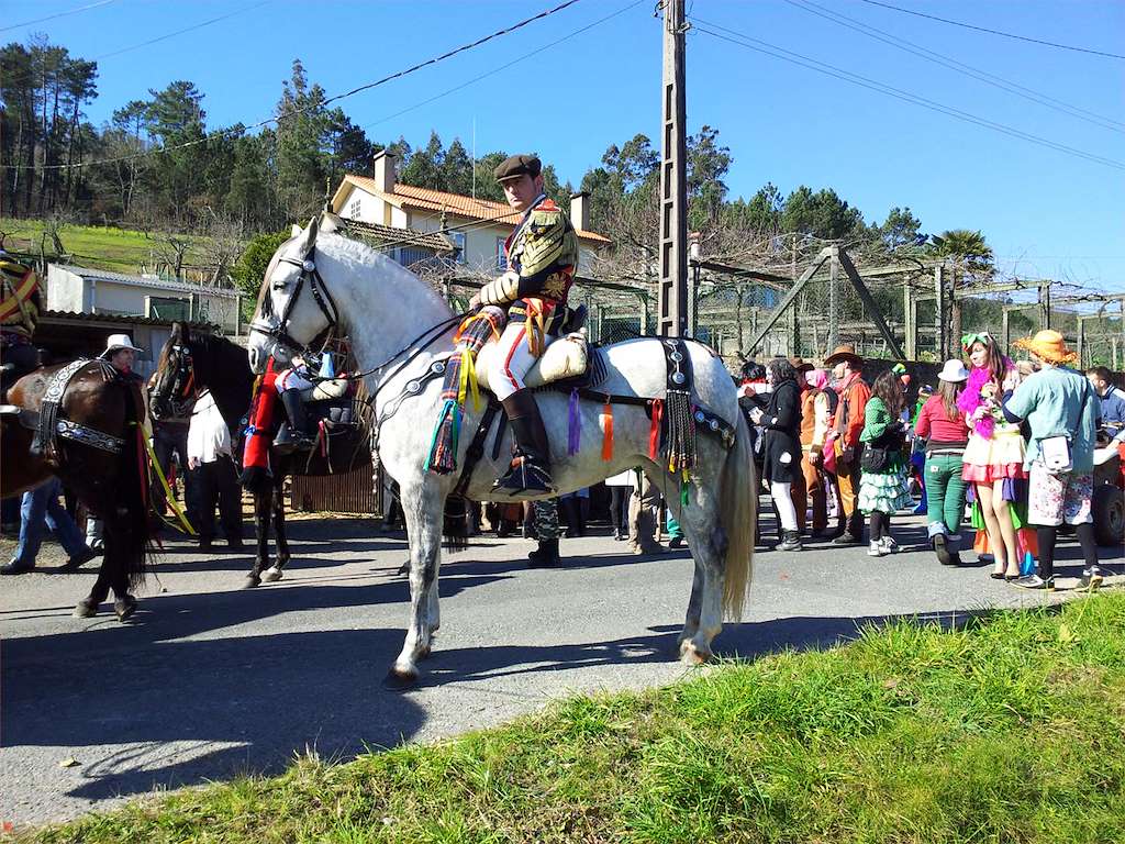 Entroido de O Eixo en Santiago de Compostela