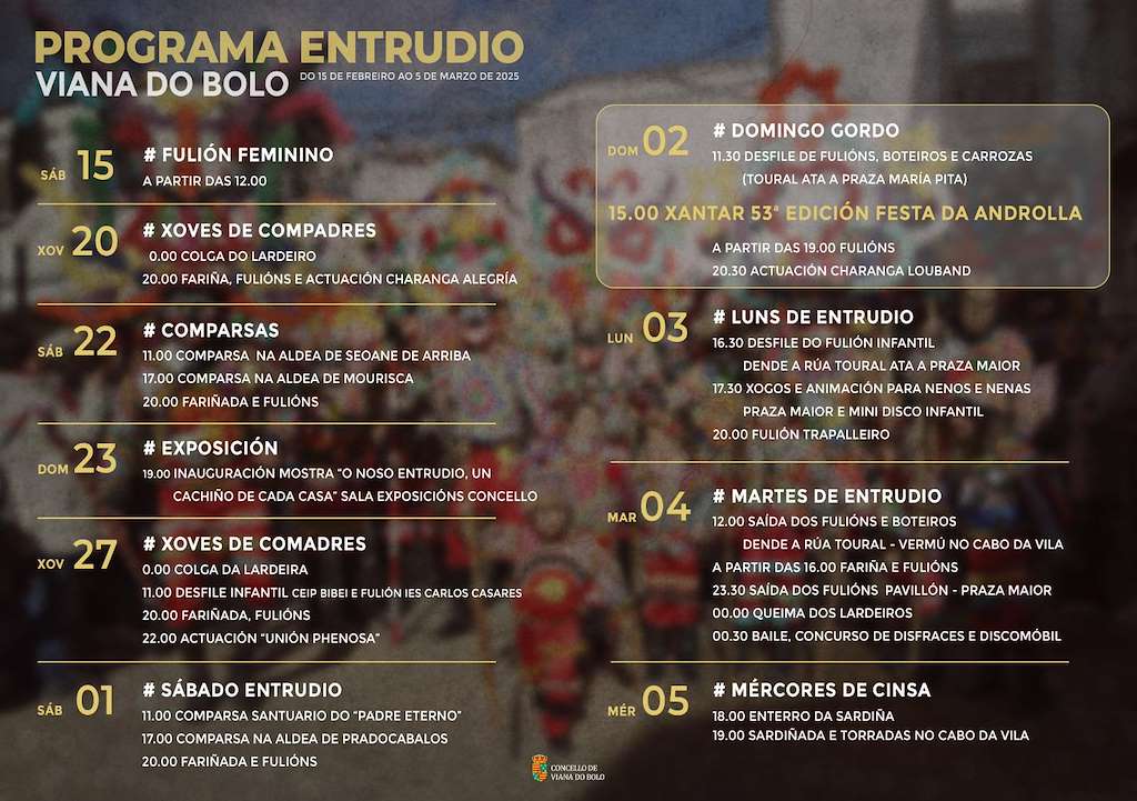 Entroido - Festa da Androlla en Viana do Bolo