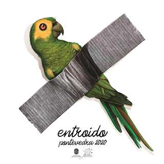 Entroido en Pontevedra
