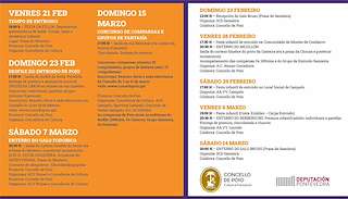 Carnaval (2026) en Poio