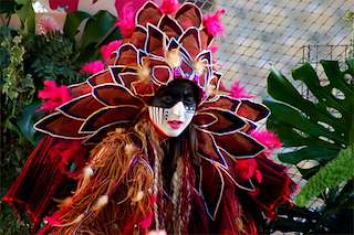 Carnaval (2026) en Pontevedra